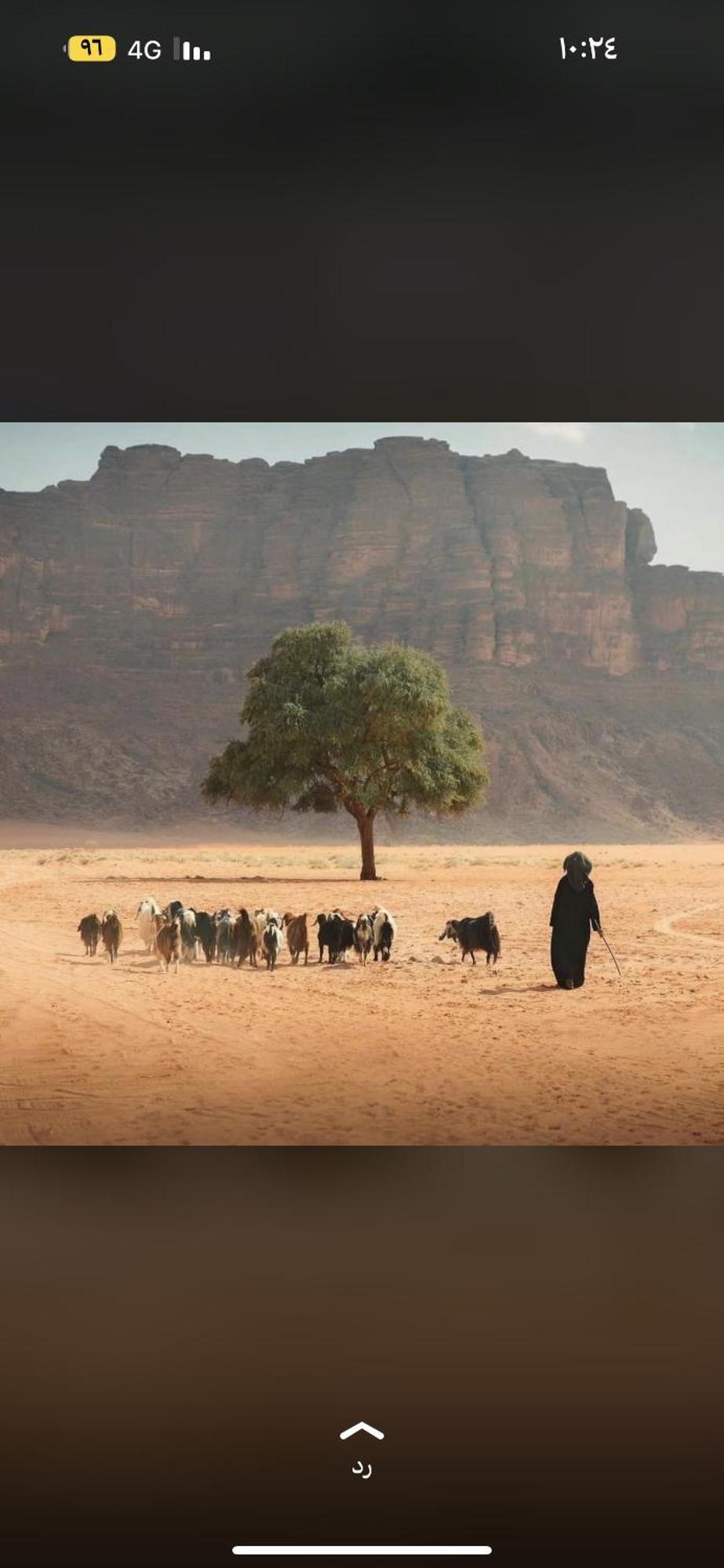 Hotel Bedouin Future Camp Wadi Rum Exteriér fotografie
